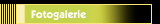 Fotogalerie