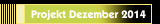 Projekt Dezember 2014